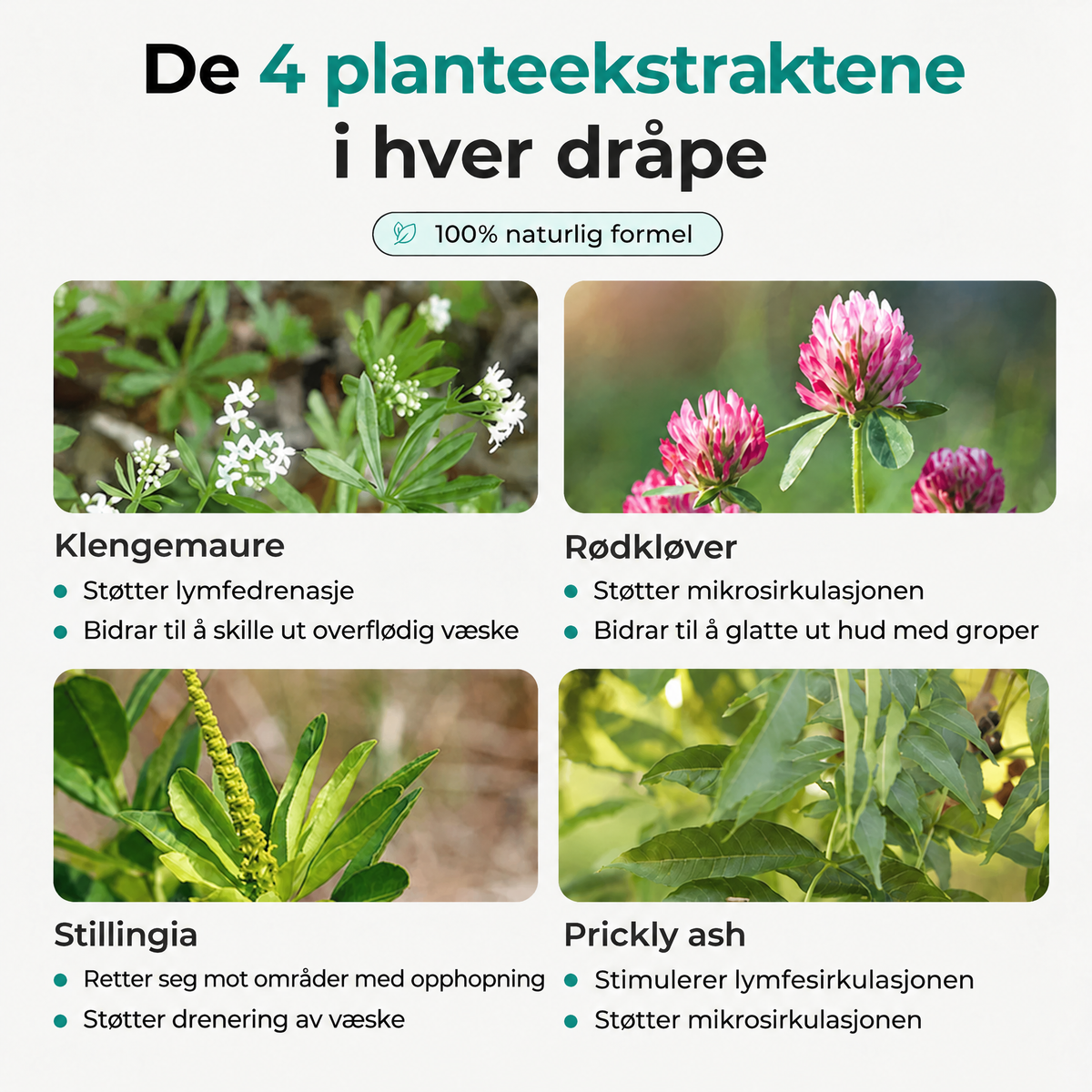 Fire planter med ingrediensnavn og korte beskrivelser.