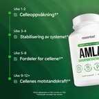 Tidslinje med tekst og en Essentae Amla-flaske.