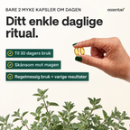 Et daglig ritual vist i fire trinn med bilder.