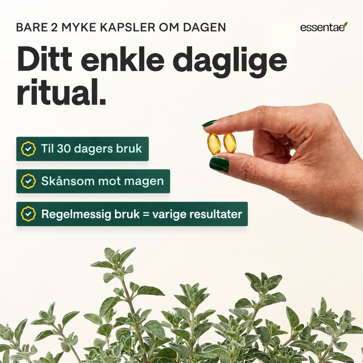 Et daglig ritual vist i fire trinn med bilder.